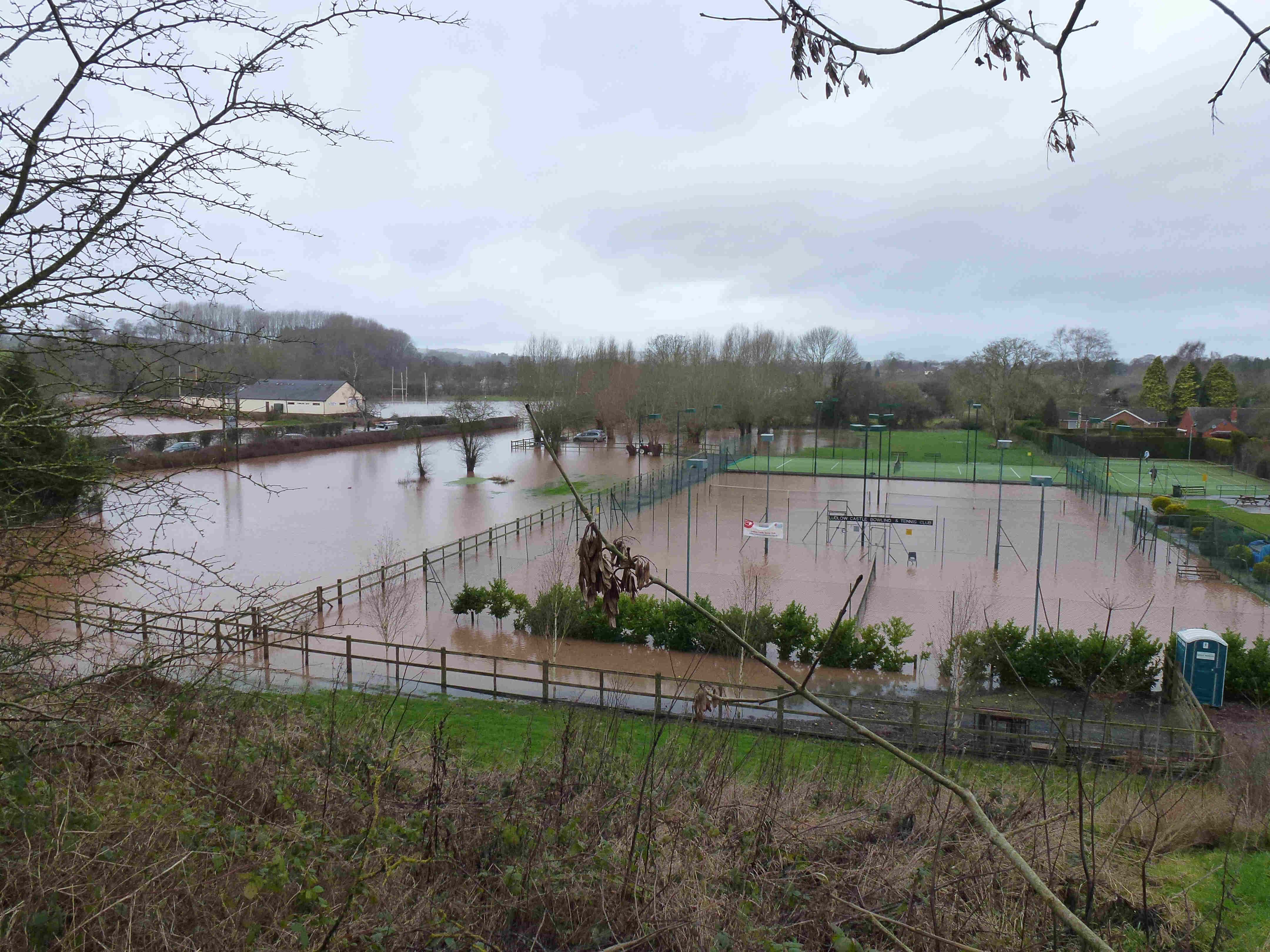 linney recreation ground Feb 2014
