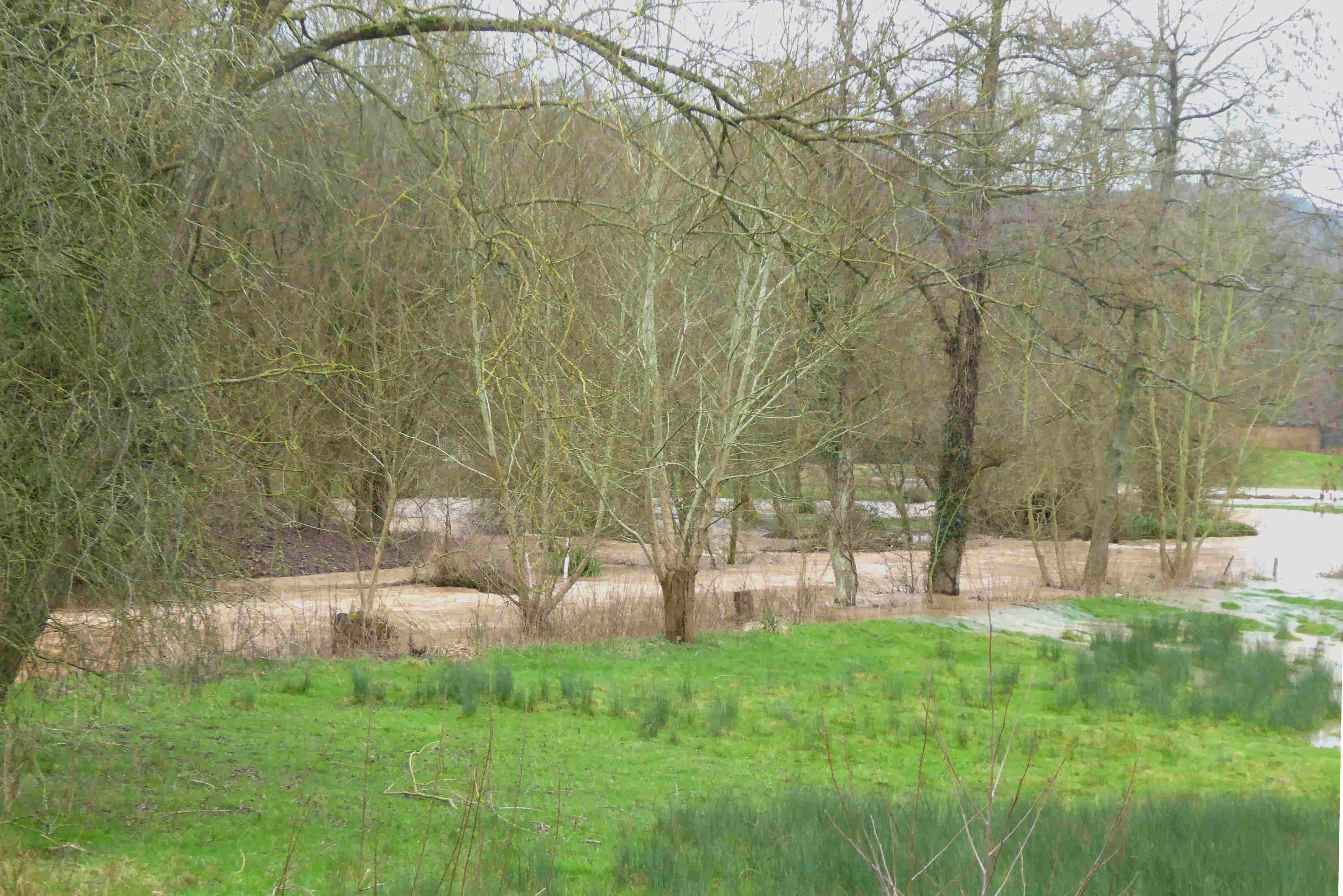 river corve Feb 2016